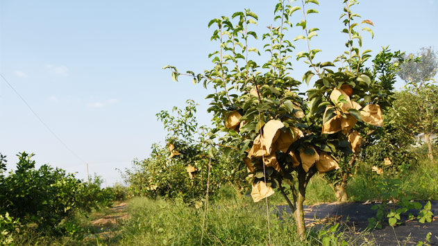 K8·凯发(中国)天生赢家·一触即发