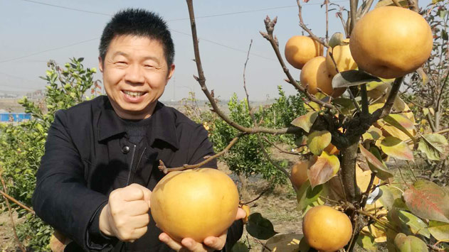 K8·凯发(中国)天生赢家·一触即发